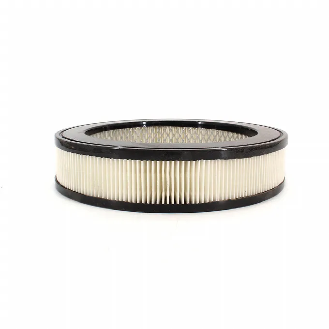 Air Filter for part CAF100108R
