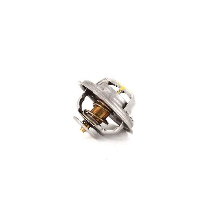 Thermostat for part AA1271NMST