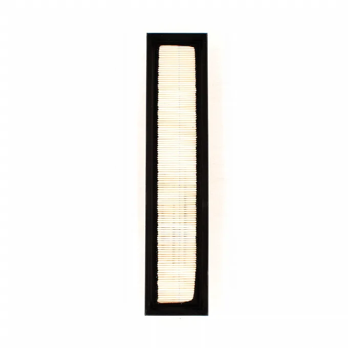 Air Filter for part CAF101048P